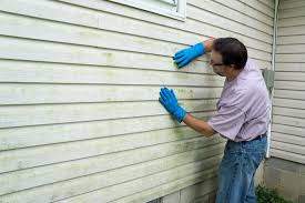 Best Vinyl Siding Installation  in Waikele, HI